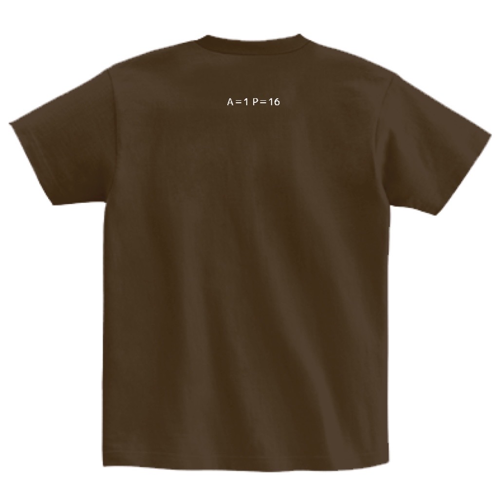 PK Guild数値T裏面 ── A=1 P=16とだけ書かれたブラウンのTシャツの背面