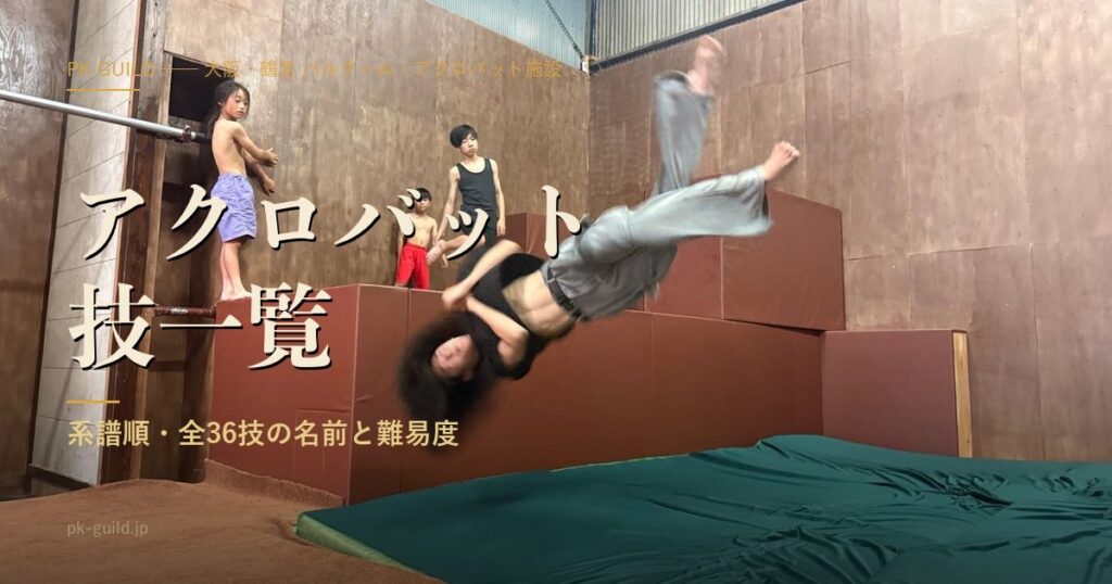 アクロバット技一覧|系譜順・全36技の名前と難易度